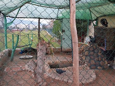 Parc d'Amérique Latine