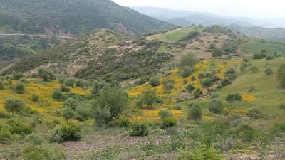 Parc d'Amérique Latine