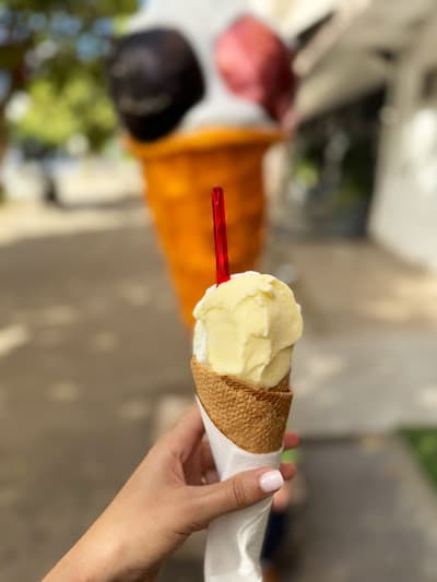 Baggli Glacier - CIL