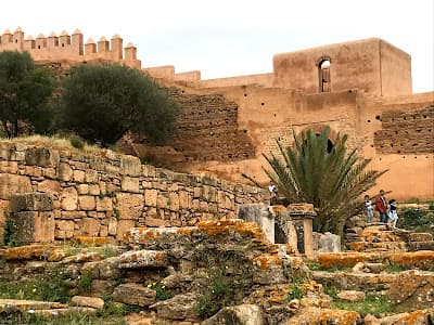Site Archéologique de Chellah