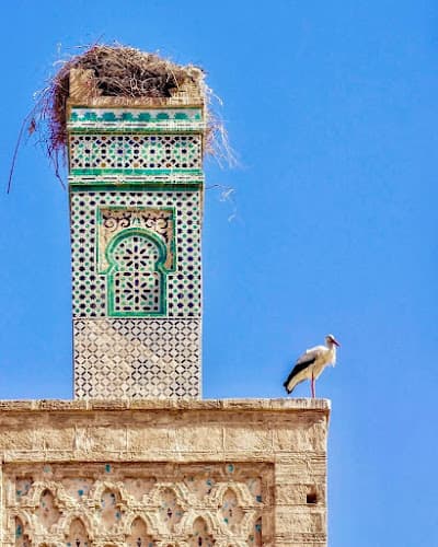 Site Archéologique de Chellah