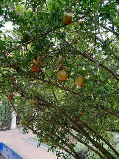 Jardin Andalou (Jardin d'Essais)