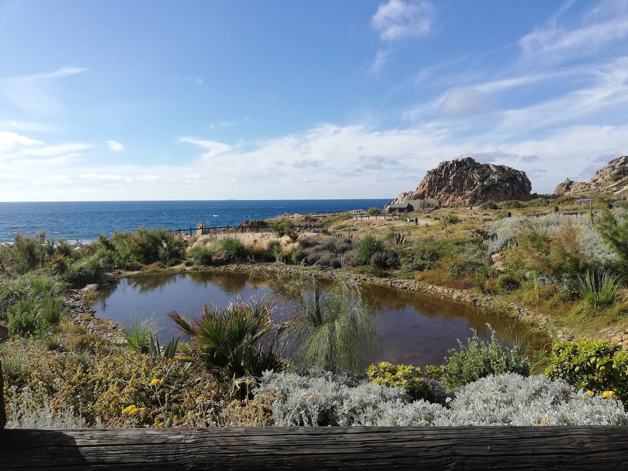 Réserve du Cap Spartel