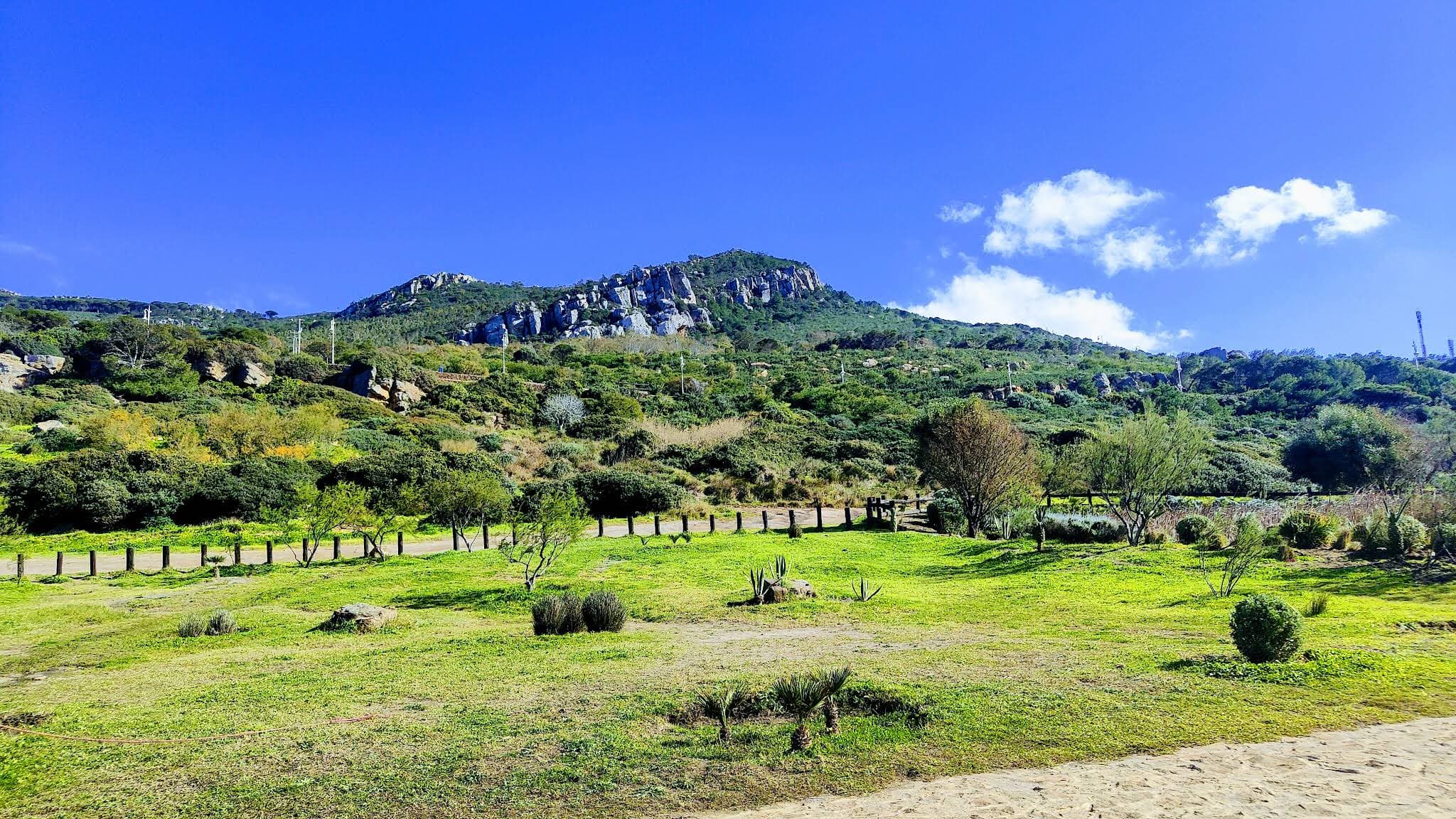 Réserve du Cap Spartel