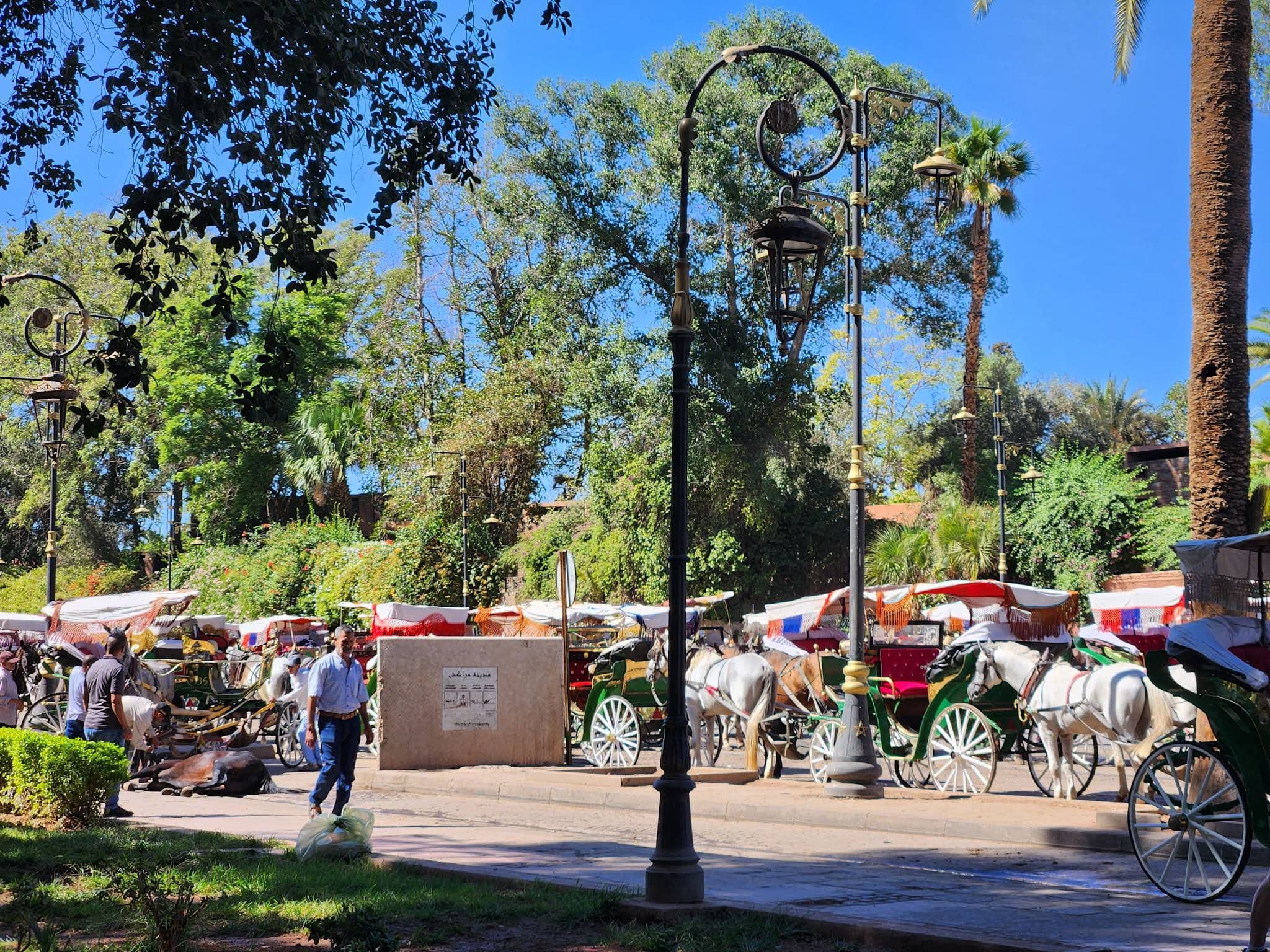 Calèches Jemaa El-Fnaa