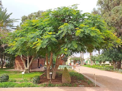 Jardin Ibn Zaidoun