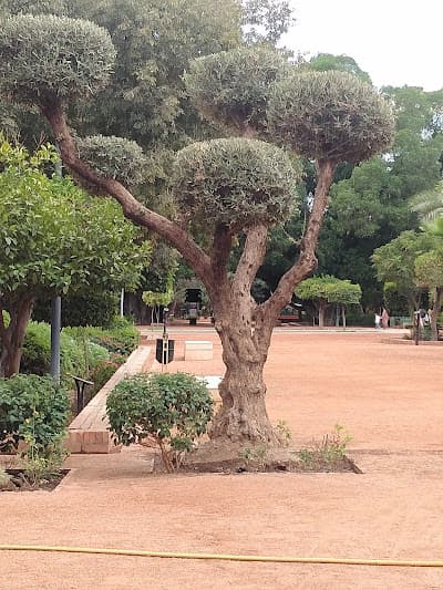 jardin Arsat mouly abdeasalam