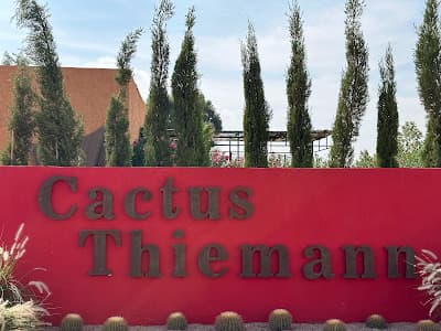 Cactus THIEMANN