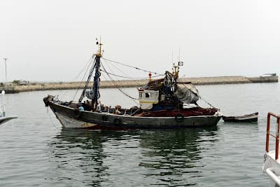 Port de pêche d'Agadir