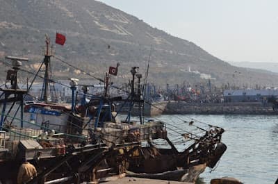 Port de pêche d'Agadir