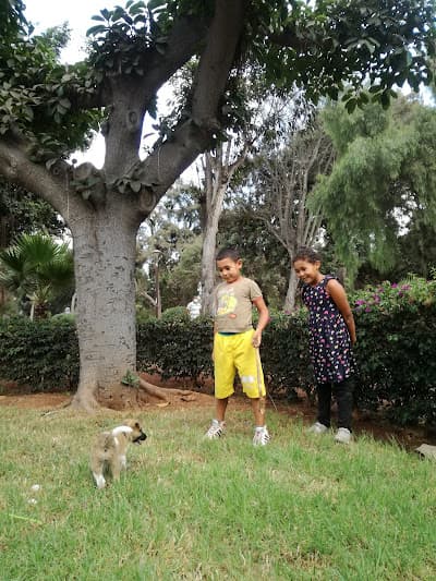 Parc Isesco (Murdokh)