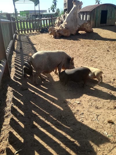 Parc Isesco (Murdokh)