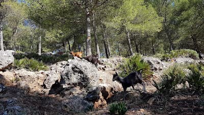 Park Sidi Abdelhamid