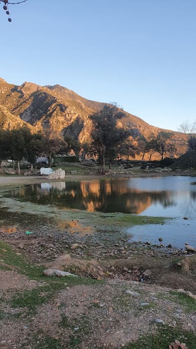 Park Sidi Abdelhamid