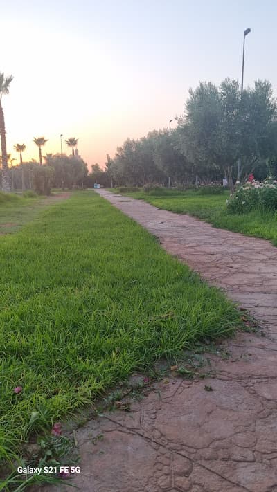 Skatepark Hay Hassani